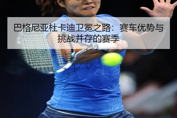 ba-ge-ni-ya-du-ka-di-wei-mian-zhi-lu-sai-che-you-shi-yu-tiao-zhan-bing-cun-de-sai-ji-2-284.jpg