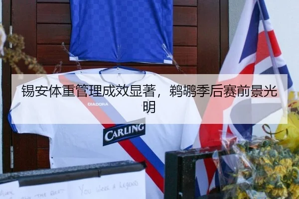 锡安体重管理成效显著，鹈鹕季后赛前景光明